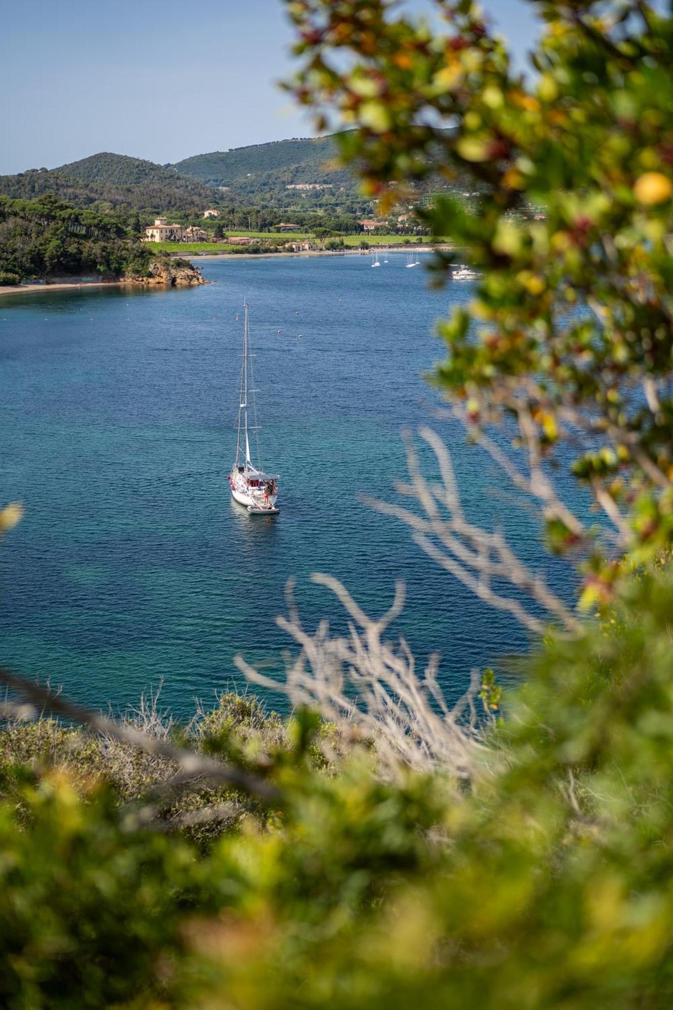 Elbitat Homes Bagnaia  Dış mekan fotoğraf